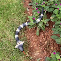 Fjernstyret Slange - Cobra - Swing & Attack - Real Wild - 39 CM -Legetøjsland fjernstyret cobra slange 586014 2