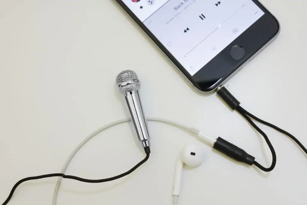 Kikkerland - Mini Karaoke Mikrofon 9 Kikkerland - Mini Karaoke Mikrofon - Billede 7